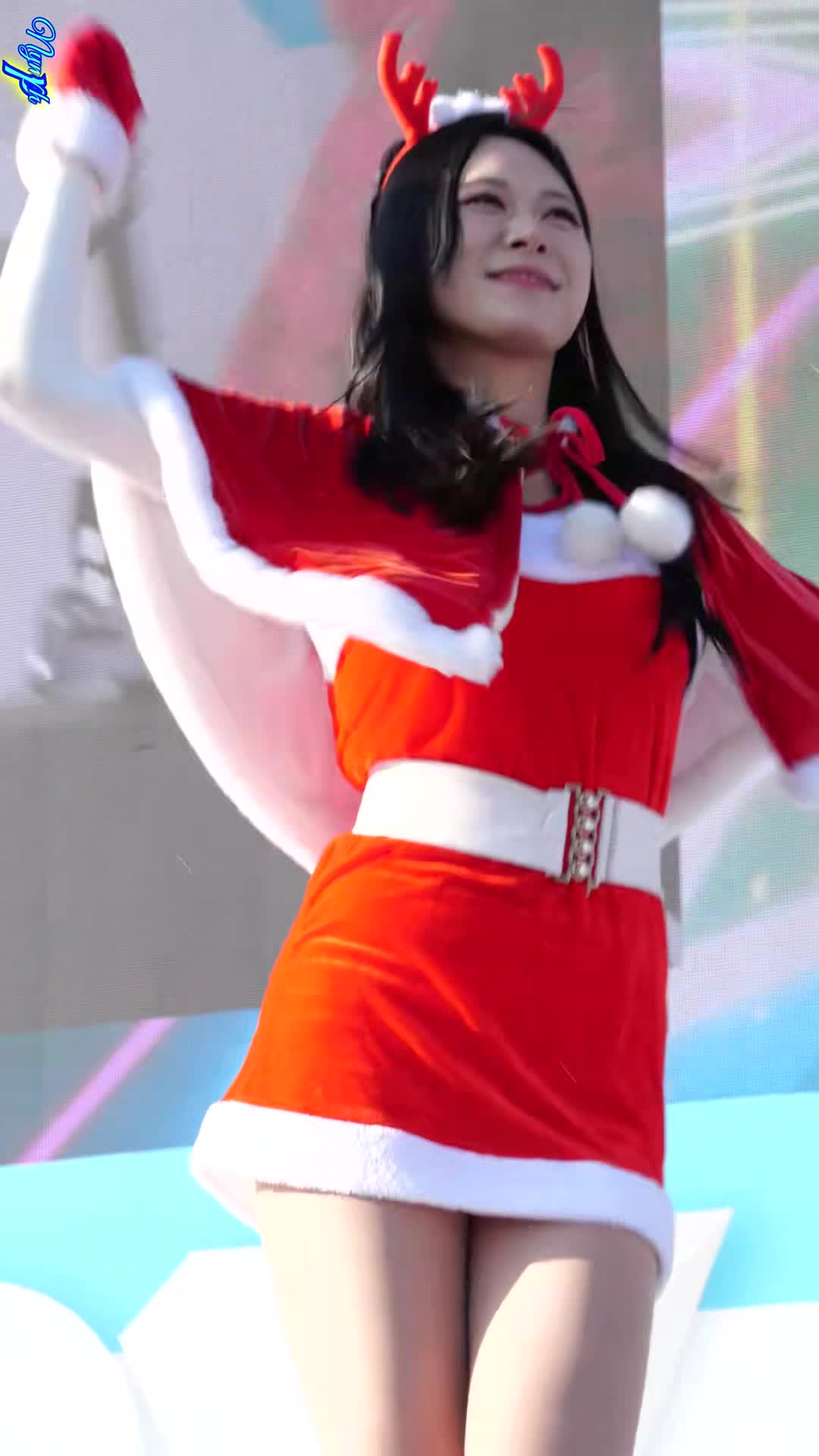 台灣 必須有愛 【海雲臺北極熊節】